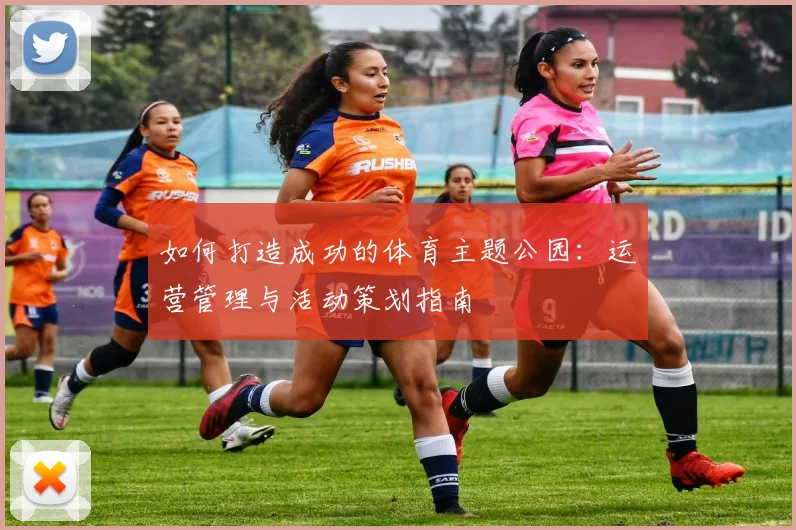 如何打造成功的体育主题公园：运营管理与活动策划指南