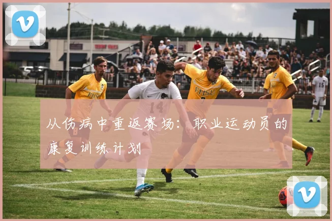 从伤病中重返赛场：职业运动员的康复训练计划